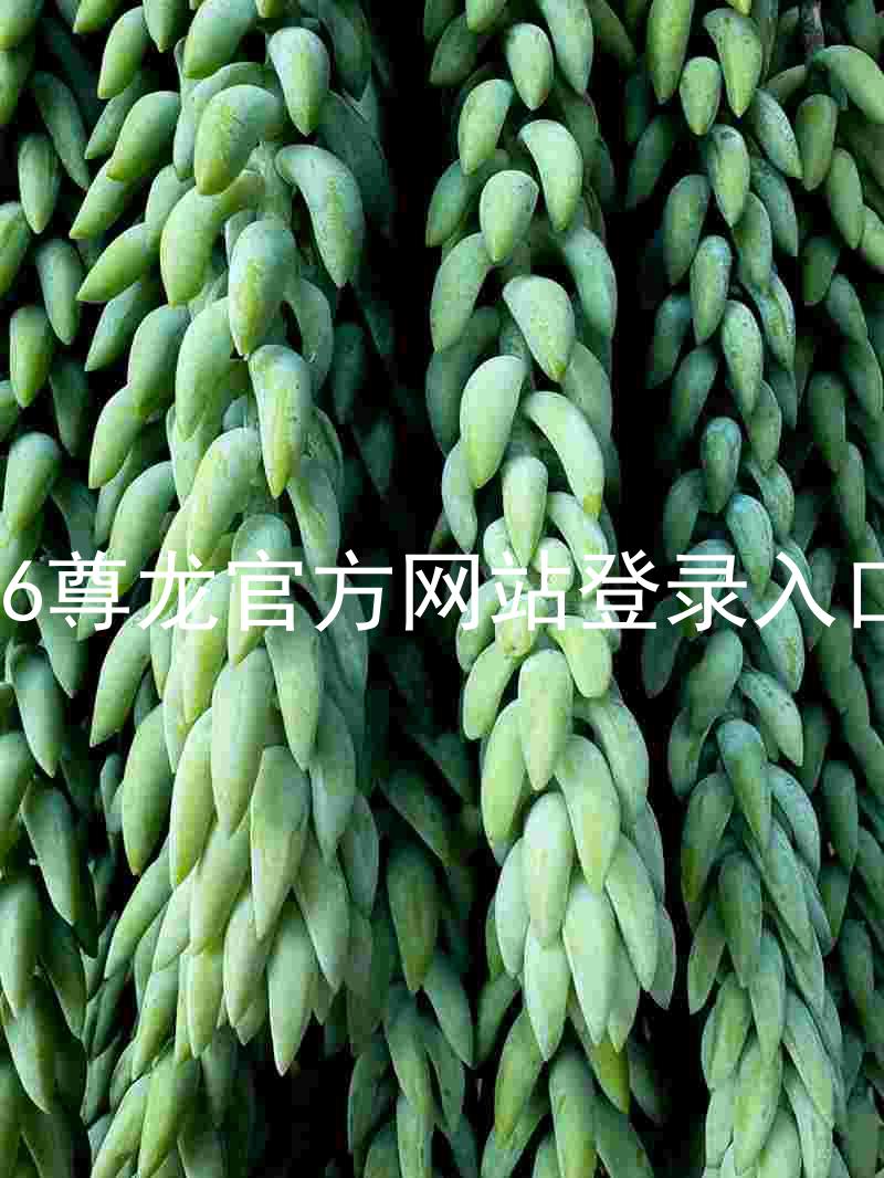 z6尊龙官方网站登录入口